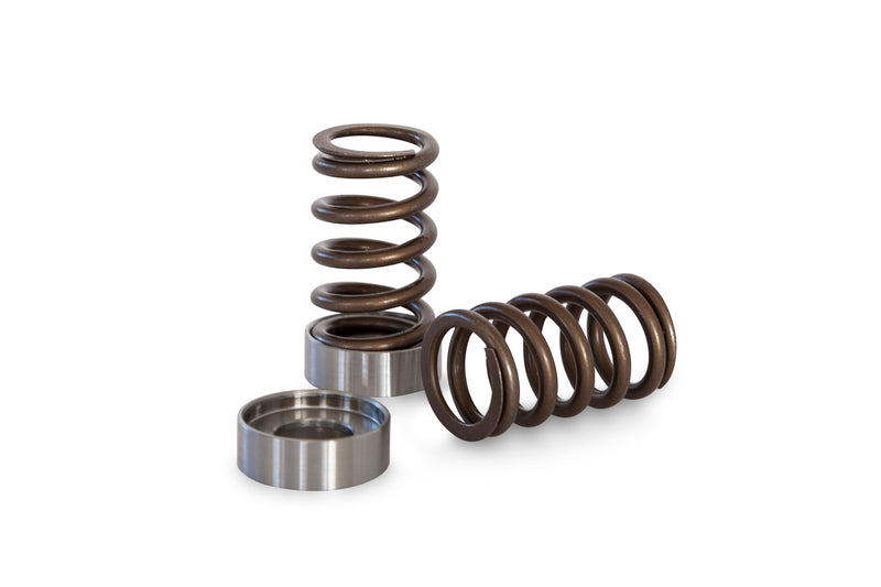 Kelford NISSAN RB25 RACE SPRING AND SEAT SET